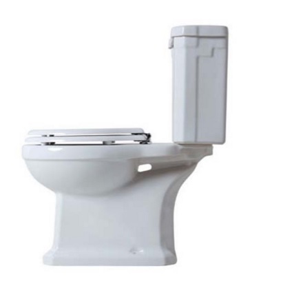 Чаша для унитаза-компакта Azzurra Giunone GIU100MBP