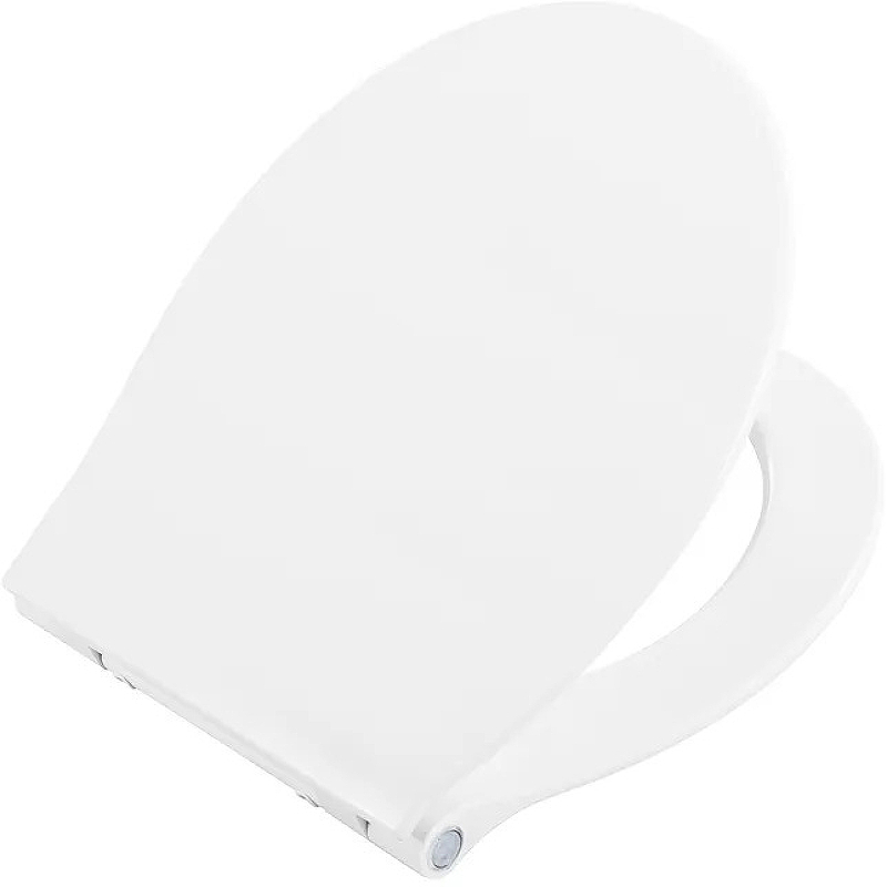 Крышка-сиденье BelBagno Acqua BB216QSC с подсветкой и микролифтом