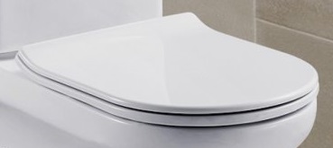 Крышка-сиденье BelBagno Vella-R BB620SC с микролифтом