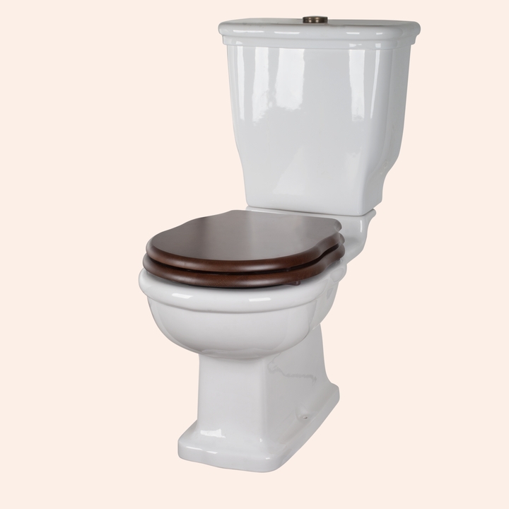 Унитаз-моноблокTiffany World Bristol TWBR50bi