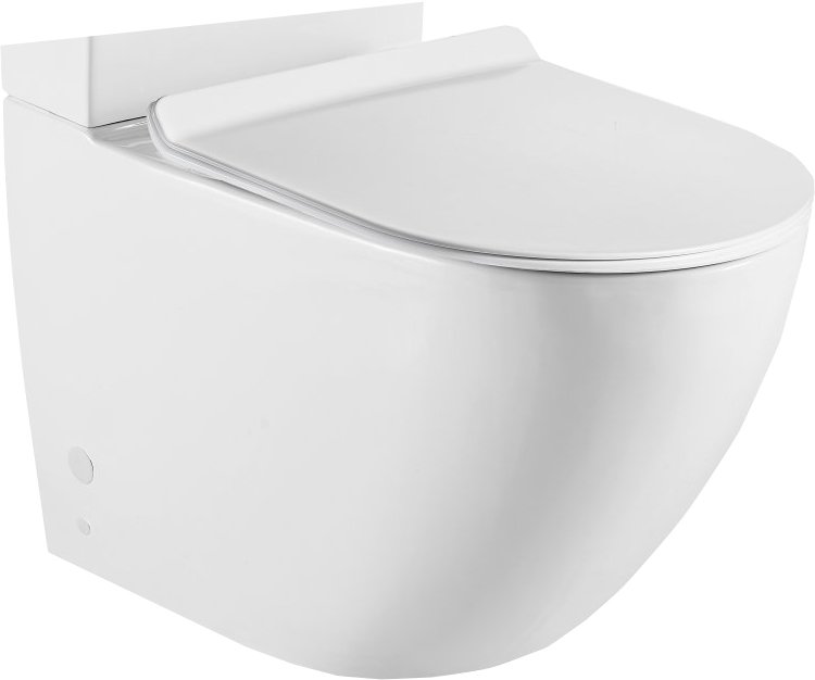 Чаша для унитаза-компакт BelBagno Amanda BB051CPR