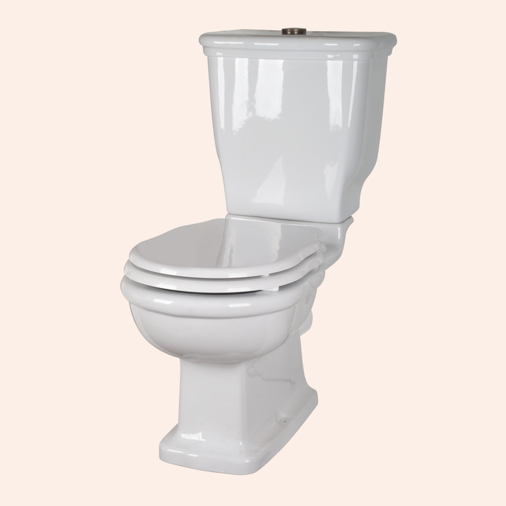 Унитаз-моноблок с бачком и механизмом смыва хром Tiffany World Bristol