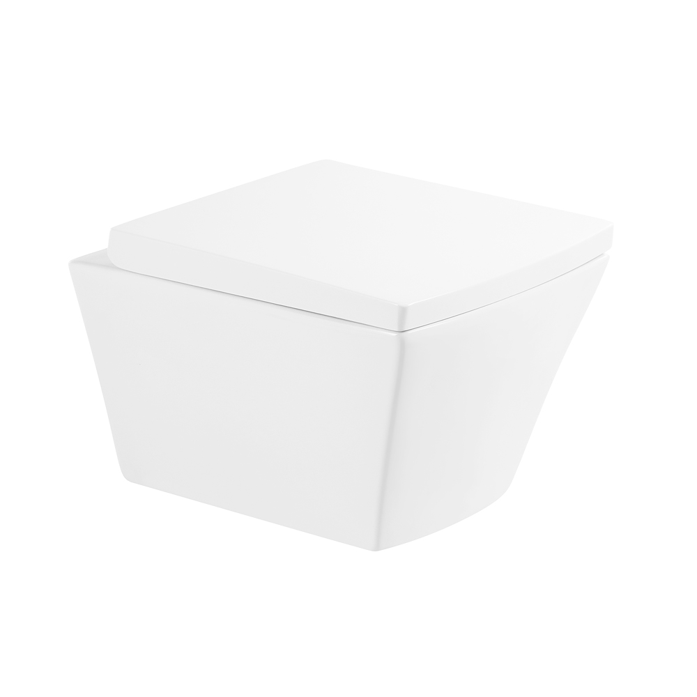 Чаша для унитаза подвесного BelBagno Regina BB104CH