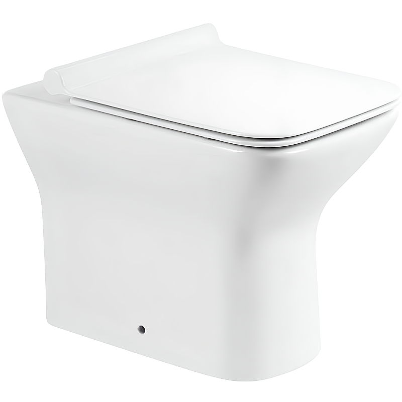 Чаша для унитаза приставного BelBagno Romano BB248CBR