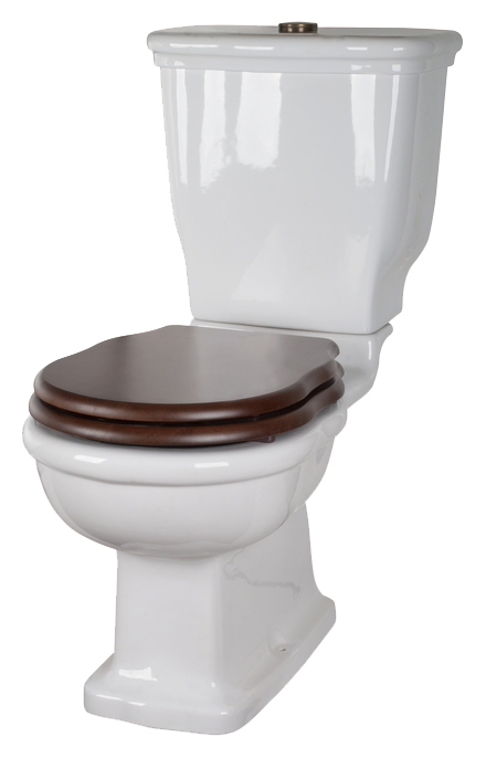 Унитаз-моноблок с бачком и механизмом смыва бронза Tiffany World Bristol