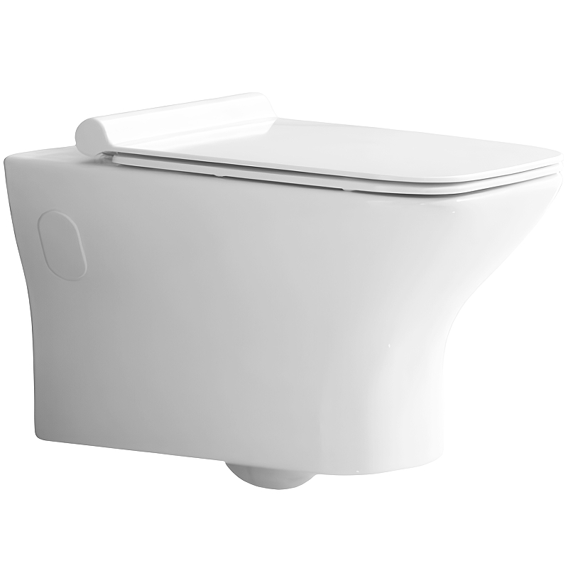 Чаша для унитаза подвесного BelBagno Romano BB248CHR-SM