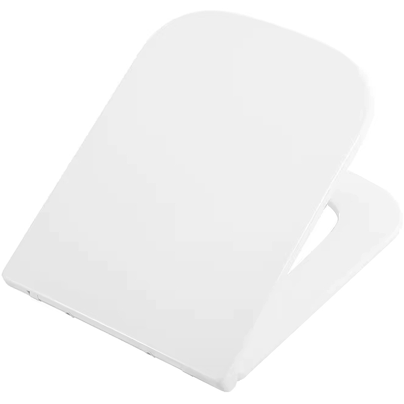 Крышка-сиденье BelBagno Ardente-R BB2322SC с микролифтом