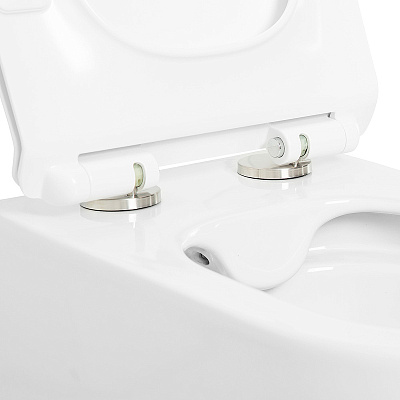 Чаша для унитаза подвесного Cezares Molveno CZR-2468-TH-R