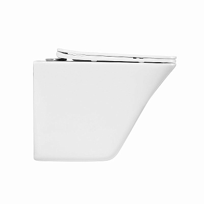 Крышка-сиденье BelBagno Ardente-R BB2322SC с микролифтом