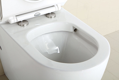 Чаша для унитаза приставного BelBagno Sfera-R BB2141CBR