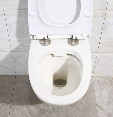 Чаша для унитаза BelBagno Alpha BB300CHR подвесная